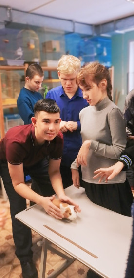 Экскурсия в Красноярский краевой центр "Юннаты".